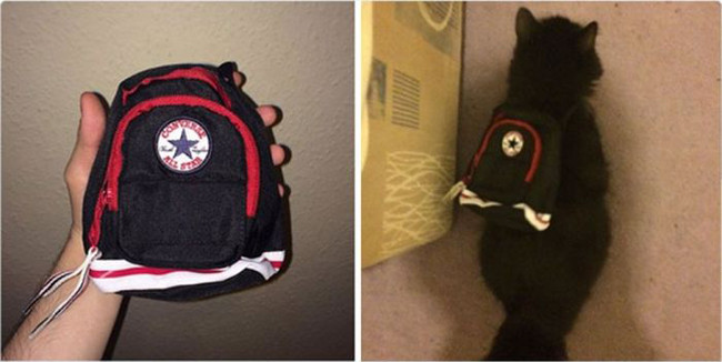 Dở khóc dở cười khi nhận hàng mua online trong mùa dịch