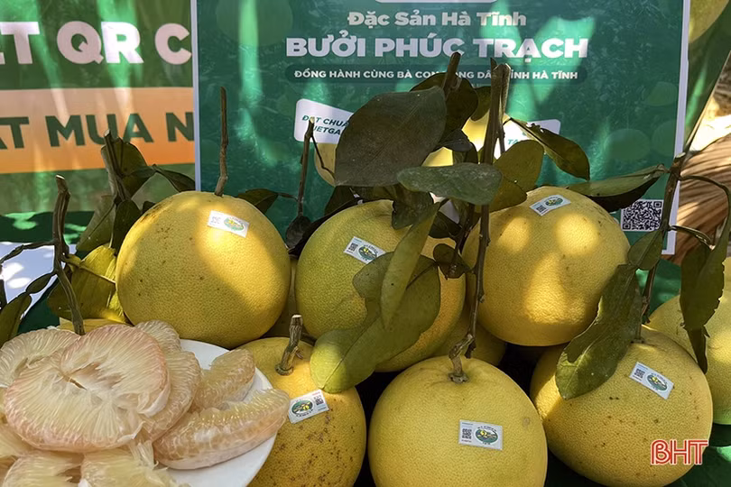 Hà Tĩnh phân bổ hơn 25 tỷ đồng xây dựng nông thôn mới