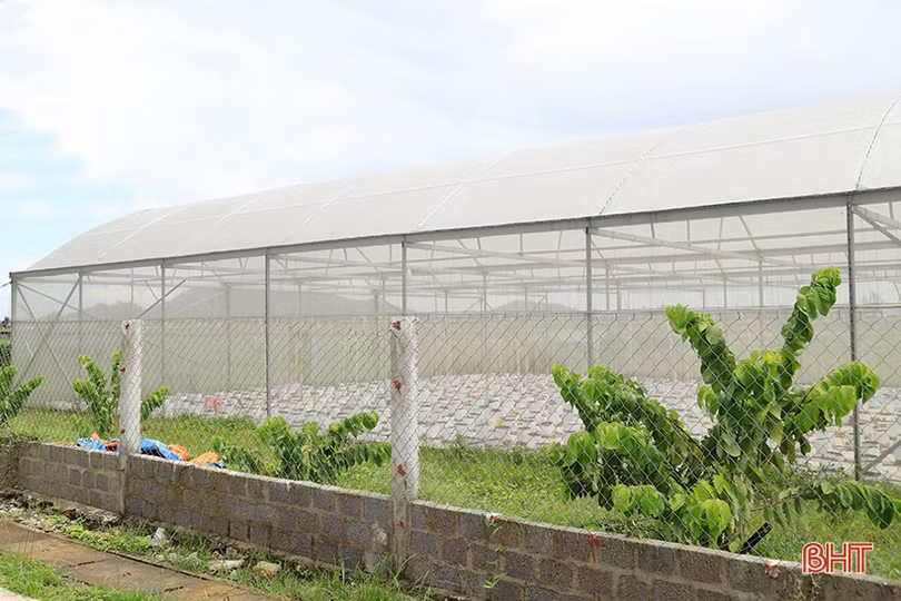 Hà Tĩnh bổ sung 10 sản phẩm tham gia đánh giá, phân hạng sản phẩm OCOP đợt 1/2021