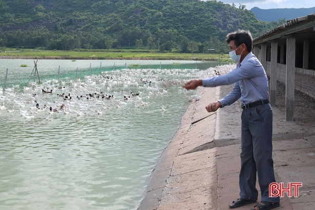 Về Nghi Xuân nghe nông dân tiêu biểu toàn quốc kể chuyện làm kinh tế ảnh 1 Về Nghi Xuân nghe nông dân tiêu biểu toàn quốc kể chuyện làm kinh tế