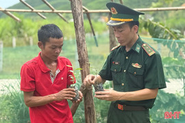 Trồng trầm hương – bước thử nghiệm cho sinh kế mới ở bản Rào Tre