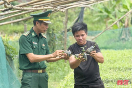 Người Chứt thử nghiệm ươm “vàng xanh” của núi rừng