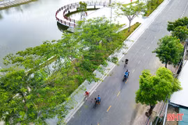 Những khoảng xanh giữa ngày hè 