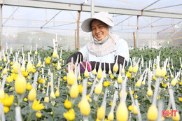 Bàn tay đan những mùa hoa...