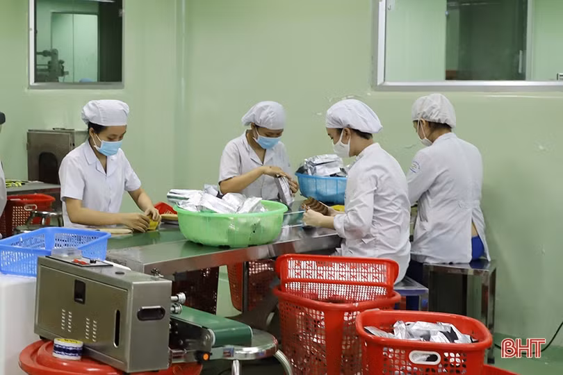 Công nghiệp Hà Tĩnh kỳ vọng tăng trưởng từ ngành chế biến, chế tạo