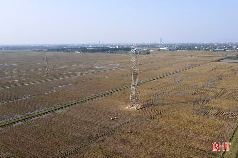 Hà Tĩnh gấp rút di dời hạ tầng đường điện phục vụ thi công cao tốc Bắc - Nam