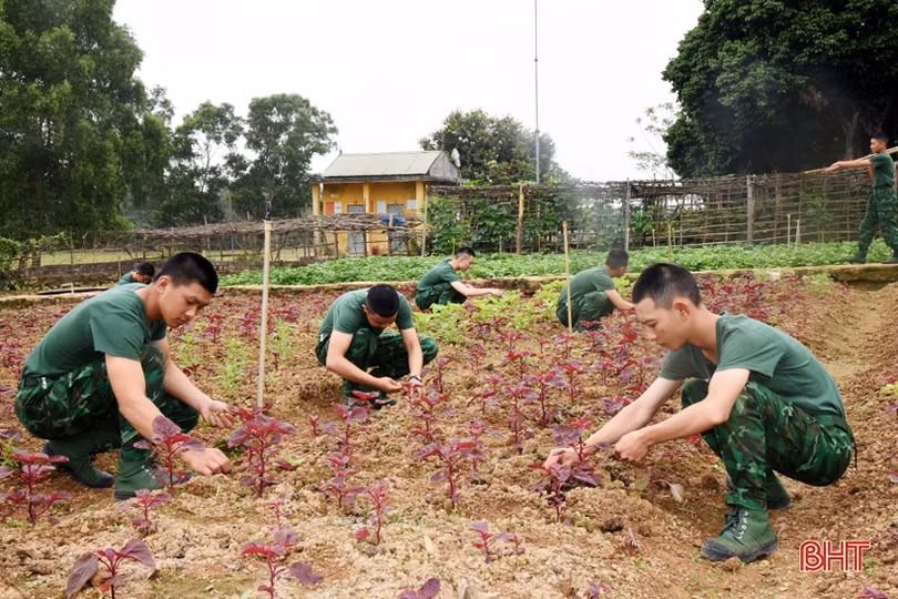 Lính biên phòng Hà Tĩnh tăng gia hiệu quả