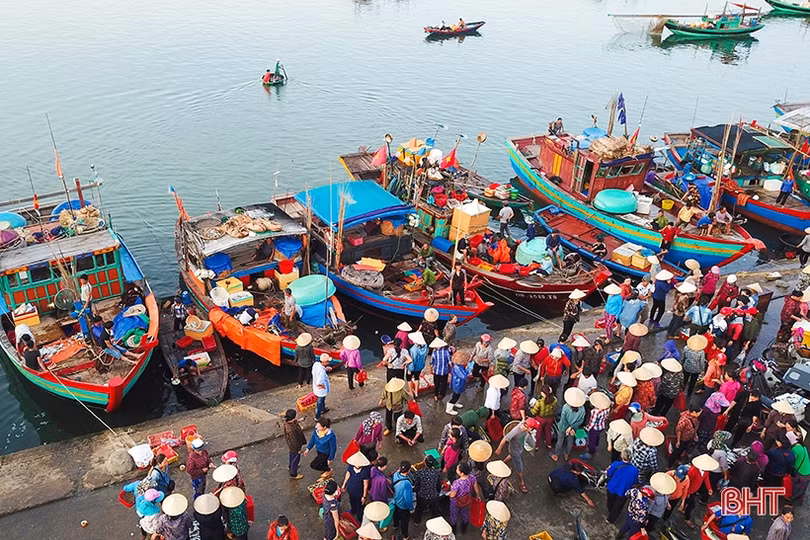 Hà Tĩnh chống khai thác IUU để chung tay gỡ “thẻ vàng” của EC
