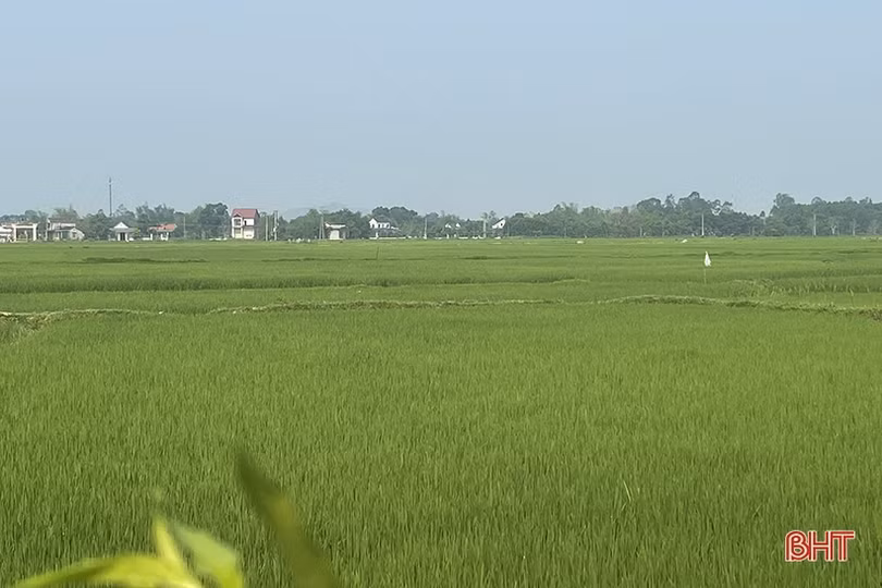 Sức sống mới ở đôi bờ sông Nhe