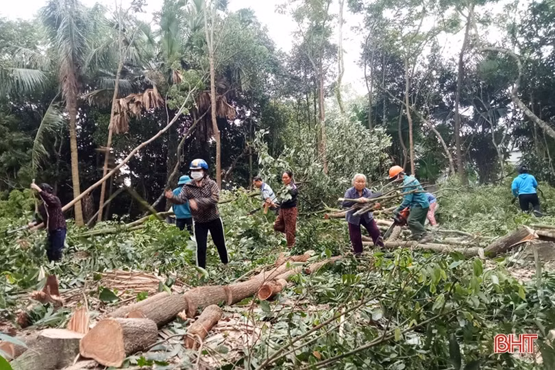 Cuối tuần, Lộc Hà huy động 2.500 ngày công làm nông thôn mới