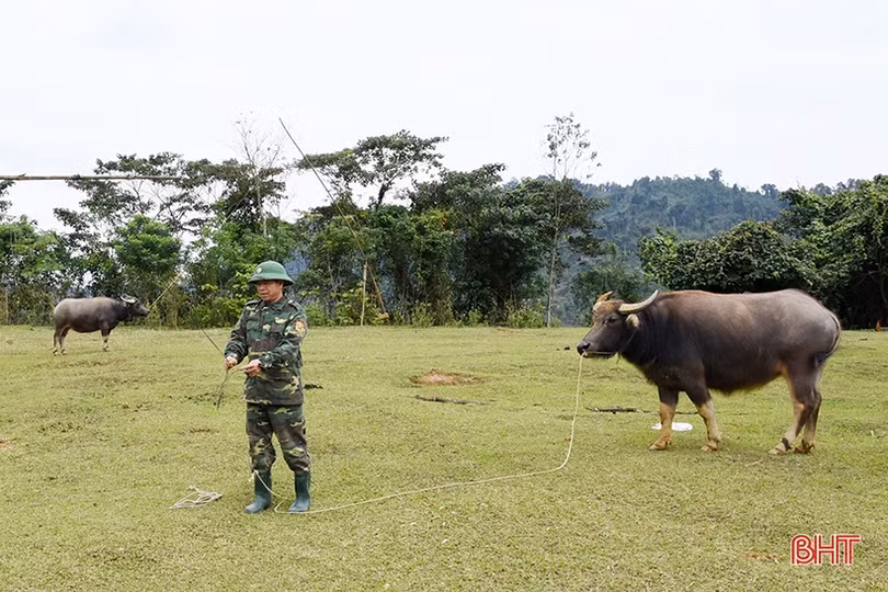 Lính biên phòng Hà Tĩnh tăng gia hiệu quả