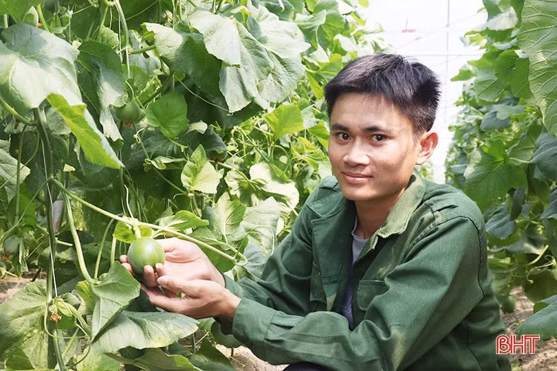 Thăm mô hình nhà màng trồng dưa quy mô gần 2 tỷ đồng của nông dân Thạch Lạc