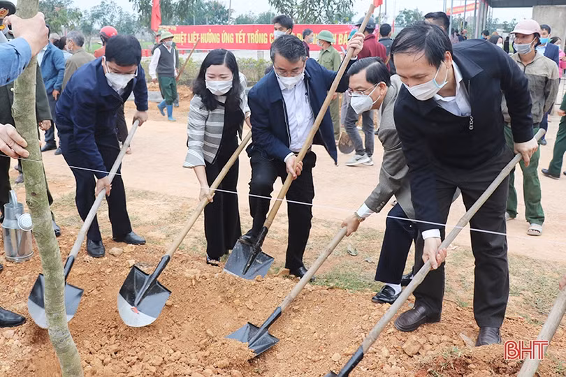Các địa phương, đơn vị ở Hà Tĩnh phát động trồng cây đầu năm