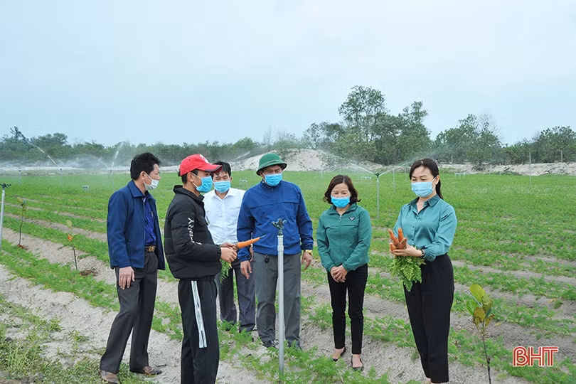 Lãnh đạo Hội Nông dân Hà Tĩnh xuống đồng, động viên nông dân sản xuất