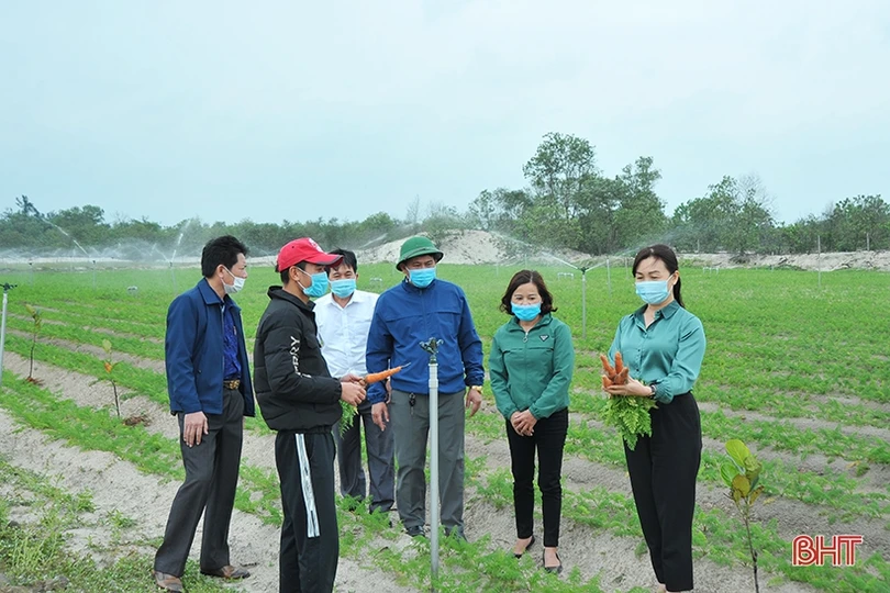 Lãnh đạo Hội Nông dân Hà Tĩnh xuống đồng, động viên nông dân sản xuất