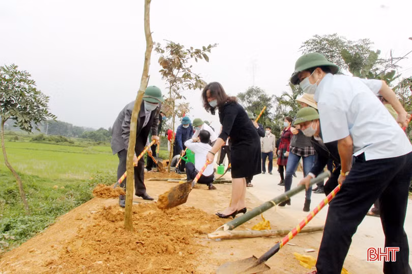 Các địa phương, đơn vị ở Hà Tĩnh phát động trồng cây đầu năm