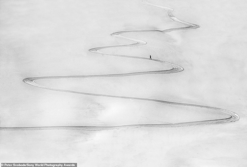 Mê mẩn loạt tác phẩm đoạt giải ảnh Sony World Photography Awards 2021