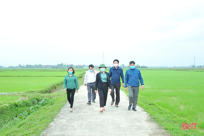 Lãnh đạo Hội Nông dân Hà Tĩnh xuống đồng, động viên nông dân sản xuất