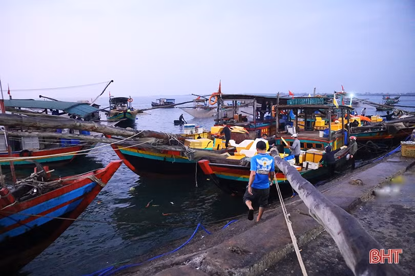 Ngư dân Hà Tĩnh phấn khởi “xông biển” đầu năm mới