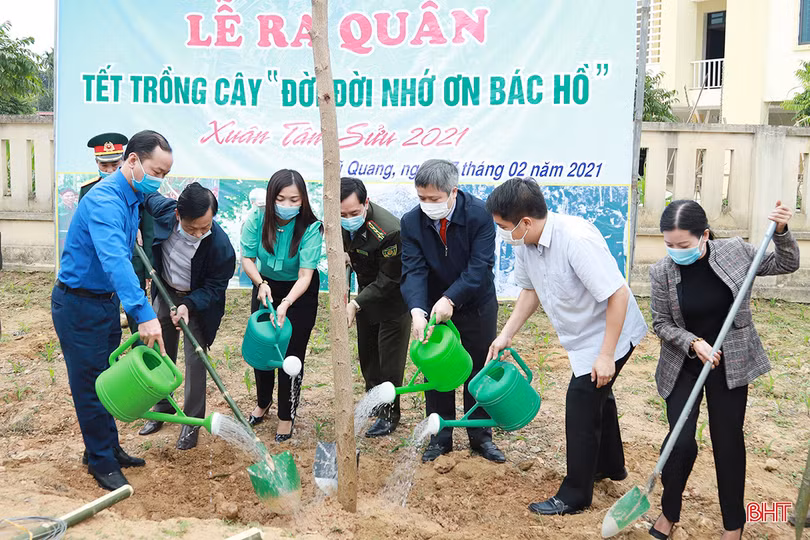 Mùa xuân, người người nô nức trồng cây