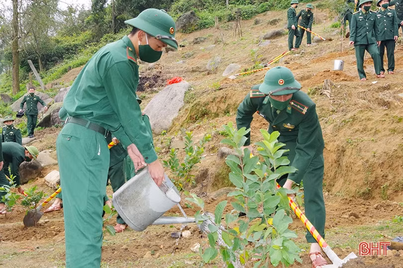 Các địa phương, đơn vị ở Hà Tĩnh phát động trồng cây đầu năm