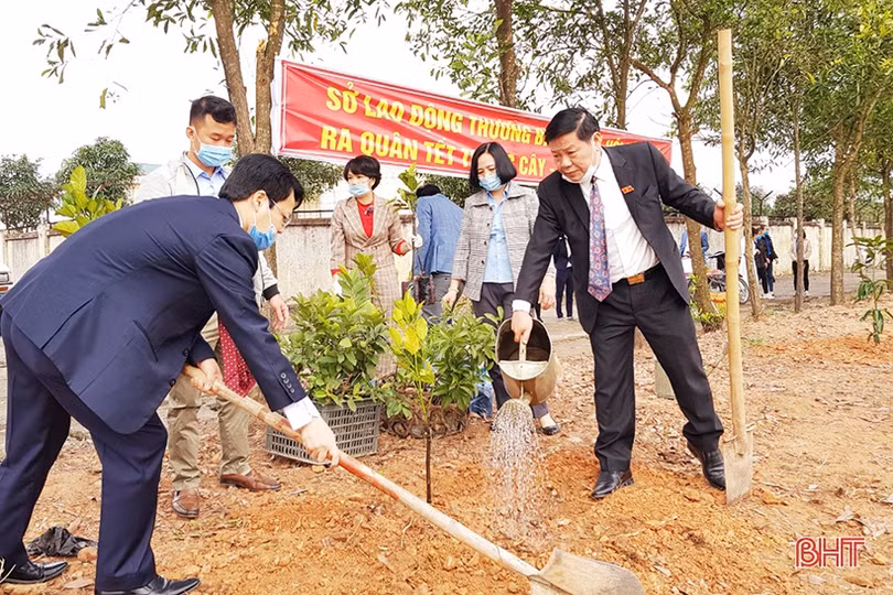 Các địa phương, đơn vị ở Hà Tĩnh phát động trồng cây đầu năm