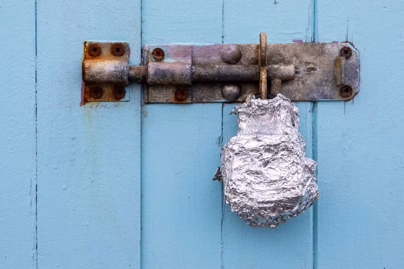 Nhiếp ảnh gia chụp hơn 400 ổ khóa trong mùa dịch