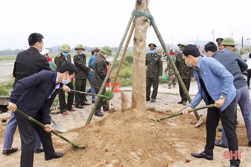 Các địa phương, đơn vị ở Hà Tĩnh phát động trồng cây đầu năm