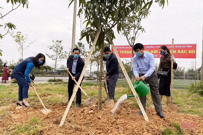 Mùa xuân, người người nô nức trồng cây