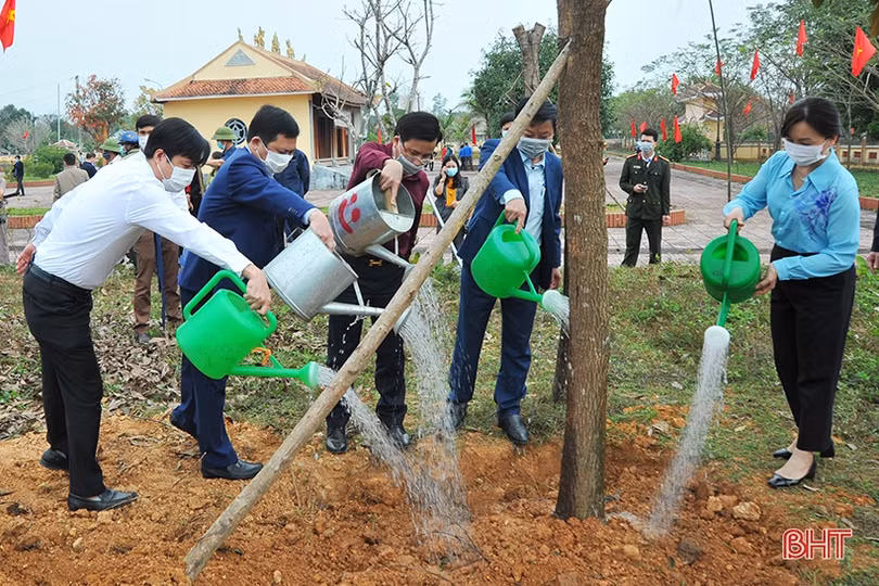 Các địa phương, đơn vị ở Hà Tĩnh phát động trồng cây đầu năm