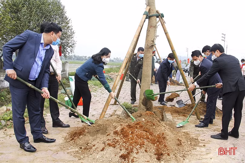 Các địa phương, đơn vị ở Hà Tĩnh phát động trồng cây đầu năm
