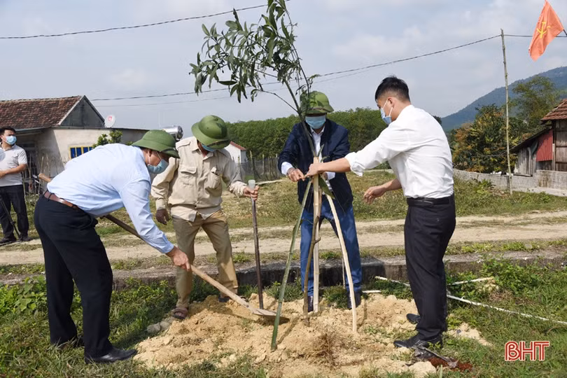 Các địa phương, đơn vị ở Hà Tĩnh phát động trồng cây đầu năm