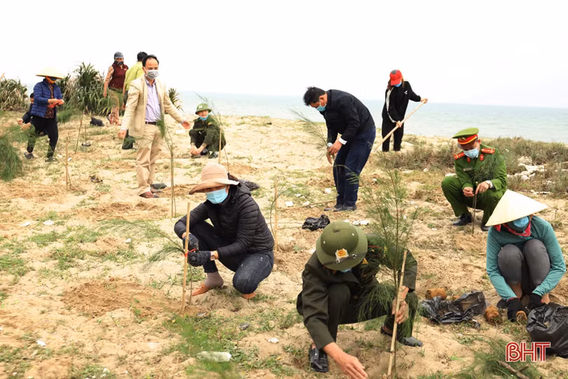 Mùa xuân, người người nô nức trồng cây