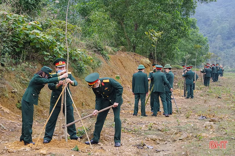 Các địa phương, đơn vị ở Hà Tĩnh phát động trồng cây đầu năm