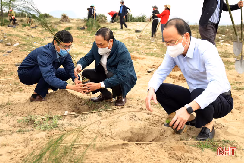 Các địa phương, đơn vị ở Hà Tĩnh phát động trồng cây đầu năm