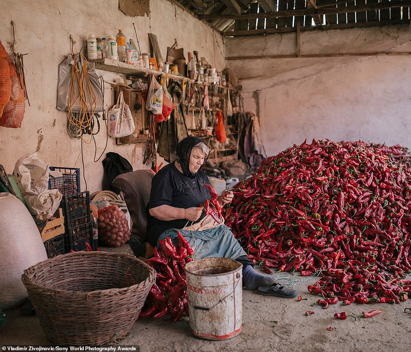 Mê mẩn loạt tác phẩm đoạt giải ảnh Sony World Photography Awards 2021