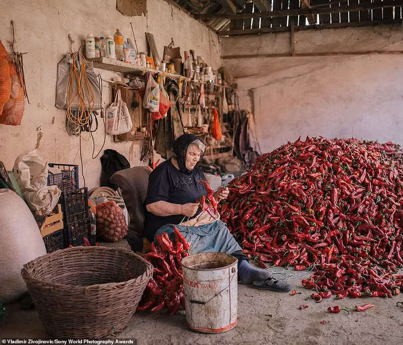 Mê mẩn loạt tác phẩm đoạt giải ảnh Sony World Photography Awards 2021