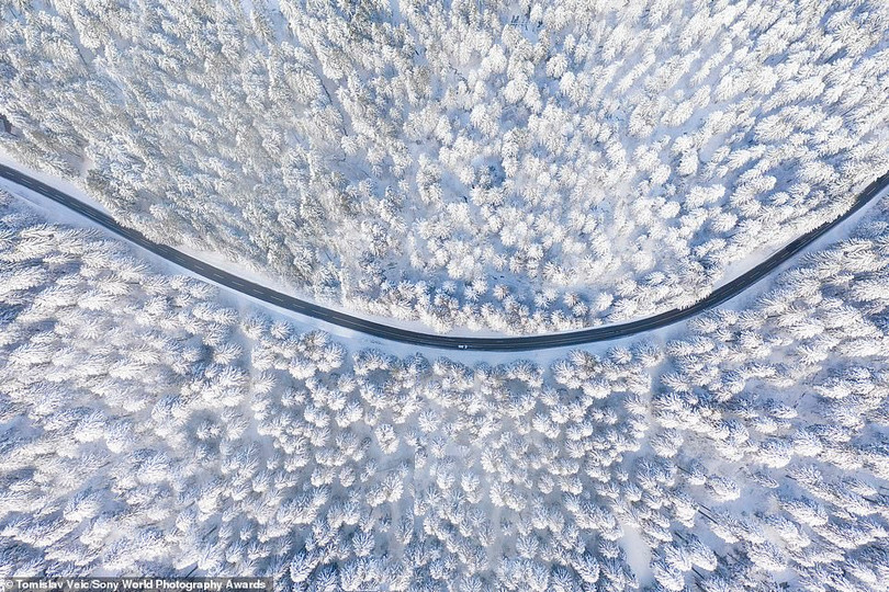 Mê mẩn loạt tác phẩm đoạt giải ảnh Sony World Photography Awards 2021