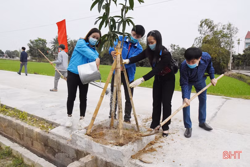 Mùa xuân, người người nô nức trồng cây