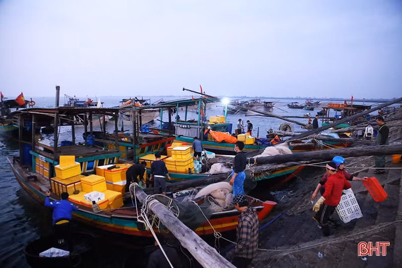 Ngư dân Hà Tĩnh phấn khởi “xông biển” đầu năm mới