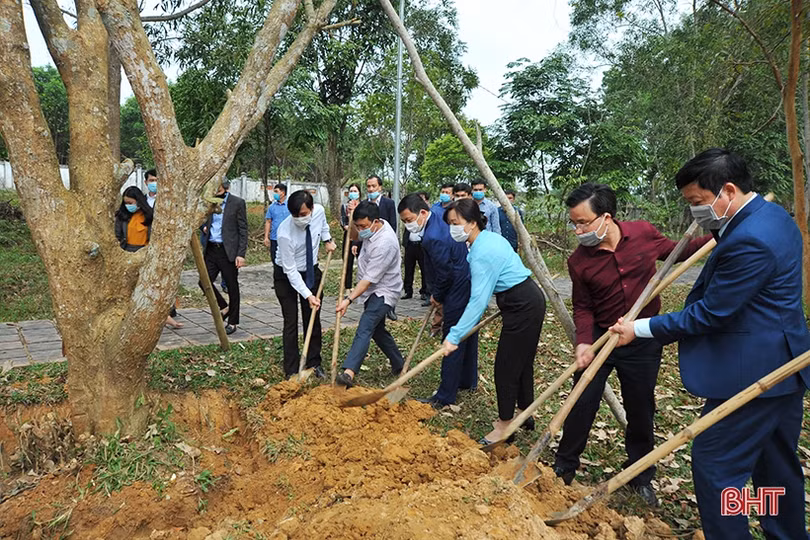 Các địa phương, đơn vị ở Hà Tĩnh phát động trồng cây đầu năm