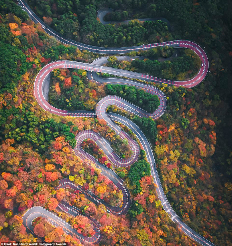 Mê mẩn loạt tác phẩm đoạt giải ảnh Sony World Photography Awards 2021