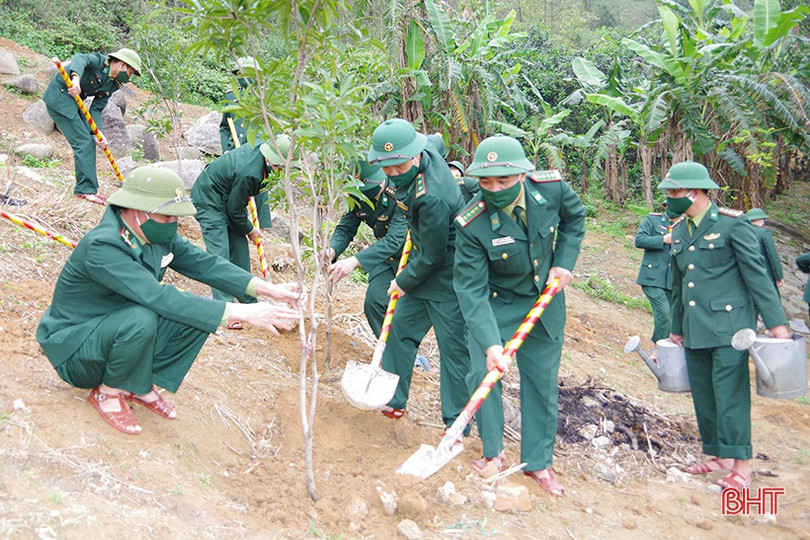 Các địa phương, đơn vị ở Hà Tĩnh phát động trồng cây đầu năm ảnh 21 Các địa phương, đơn vị ở Hà Tĩnh phát động trồng cây đầu năm
