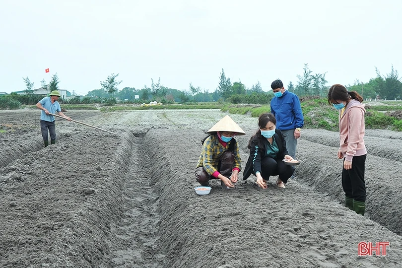 Lãnh đạo Hội Nông dân Hà Tĩnh xuống đồng, động viên nông dân sản xuất