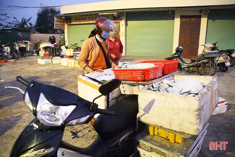 Ngư dân Hà Tĩnh phấn khởi “xông biển” đầu năm mới