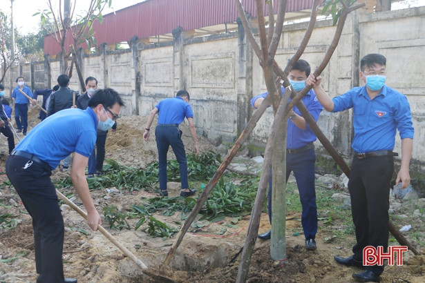 Các cơ sở y tế Hà Tĩnh trồng hàng ngàn cây xanh, cây ăn quả đầu xuân