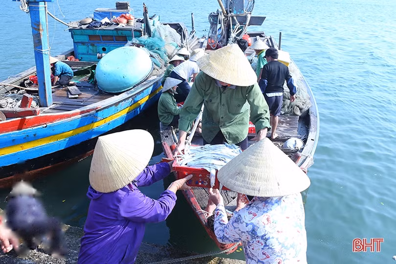 Ngư dân Hà Tĩnh phấn khởi “xông biển” đầu năm mới