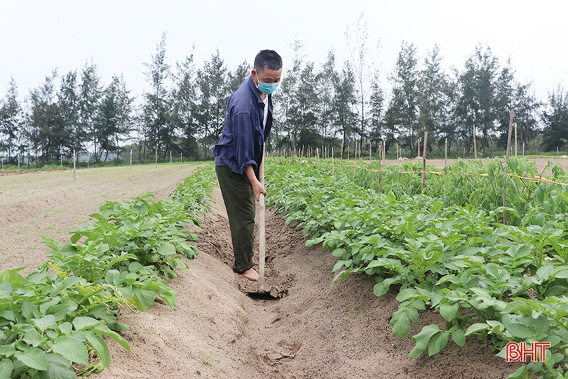 Nông dân Thạch Hà hứng khởi ra đồng đầu năm mới