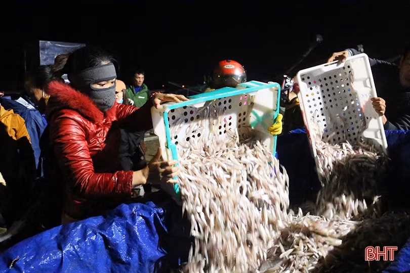 Ngư dân Hà Tĩnh phấn khởi “xông biển” đầu năm mới