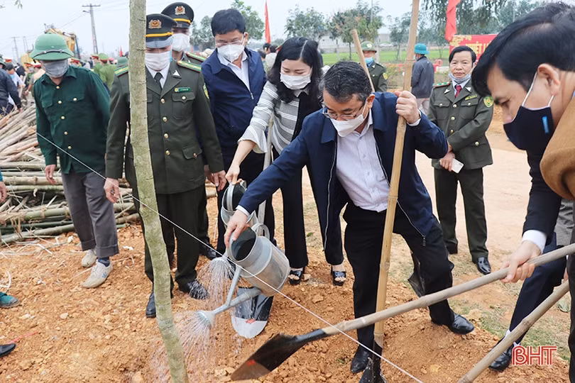 Các địa phương, đơn vị ở Hà Tĩnh phát động trồng cây đầu năm